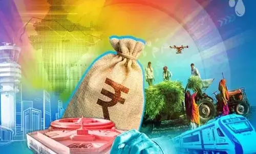 బడ్జెట్ స్క్రిప్ట్ బాగుంది కానీ..