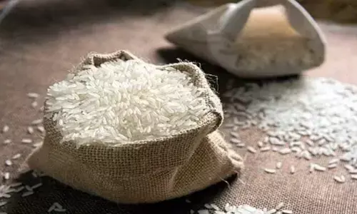 రూ.29కే కేజీ సన్నబియ్యం : ‘భారత్ రైస్’ విక్రయాలకు శ్రీకారం నేడే