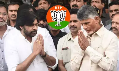 పొత్తుకు చంద్రబాబు గ్రీన్ సిగ్నల్.. పవన్ కల్యాణ్‌కు ఒప్పించే బాధ్యత!