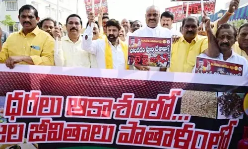 ప్రతిపక్షాలను చూసి భయపడుతున్న సీఎం జగన్.. నందమూరి బాలకృష్ణ ఘాటు వ్యాఖ్యలు
