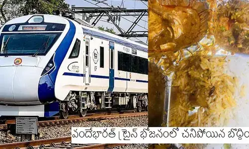 వందేభారత్ ఎక్స్‌ప్రెస్‌ భోజనంలో చనిపోయిన బొద్దింక