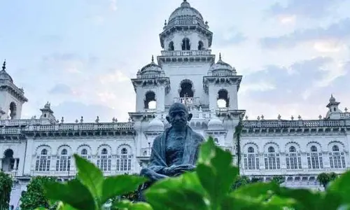 అసెంబ్లీ, మీడియా పాస్‌లు ఇకపై ఆ రంగులో ఉండవు
