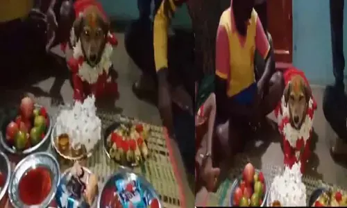 Viral News: కుక్కకి సీమంతం.. హాజరైన బంధుగణం