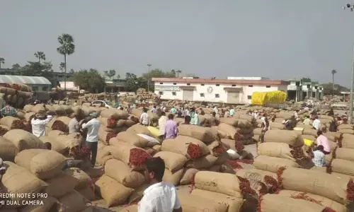 ఎరుపెక్కిన ఏనుమాముల..ఇతర దేశాలకు ఎగుమతి!