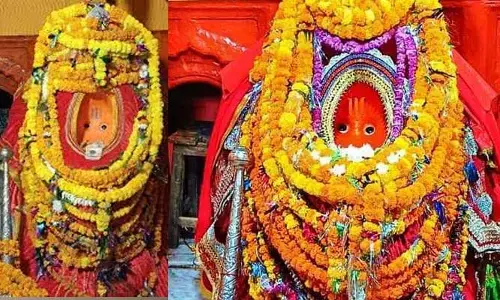 హనుమాన్ ఉడుత రూపంలో దర్శనం ఇస్తున్న ఏకైక ఆలయం.. ఎక్కడ ఉందో తెలుసా..