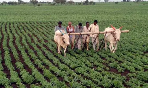 ఏపీ రైతుల అకౌంట్లలోకి రూ.13,500