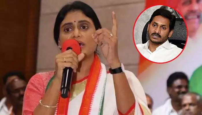 AP Politics:వైసీపీ పై వైఎస్ షర్మిల సంచలన వ్యాఖ్యలు!