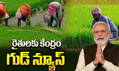 రైతులకు శుభవార్త.. 24,400 కోట్ల ఎరువుల సబ్సిడీపై కేంద్ర మంత్రివర్గం ఆమోదం