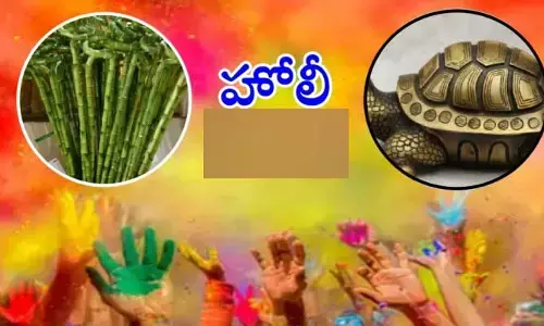 హోలీ రోజు ఈ వస్తువులను ఇంటికి తెసుకొస్తే.. మీ ఇంట్లో డబ్బే డబ్బు