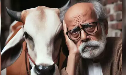 ఆన్‌లైన్‌ ఆఫర్ లో అమ్మకానికి ఆవులు.. డబ్బులు పోగొట్టుకుంటున్న రైతులు