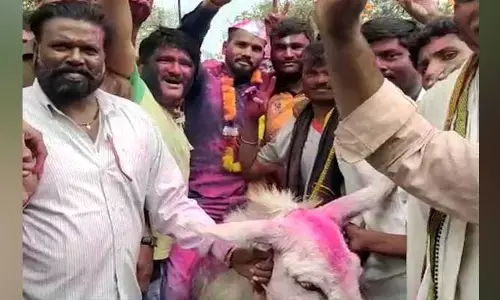 ఆ గ్రామంలో వింత ఆచారం.. కొత్త అల్లుడిని గాడిద పై ఊరేగిస్తారట..