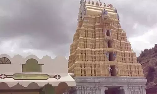 కేతకి అనే అప్సరస మొగలి వనంగా మారింది ఈ క్షేత్రంలోనే..