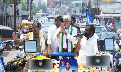 నెల్లూరు గడ్డ వైసీపీ అడ్డా! మరోసారి నిరూపించిన వైఎస్సార్సీపీ శ్రేణులు..