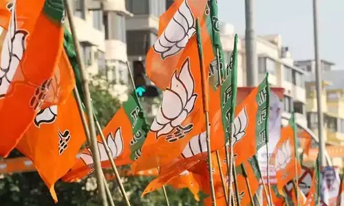 AP Politics: ఆ విషయంలో స్తంభించిన అధిష్టానం.. అయోమయంలో ఏపీ బీజేపీ