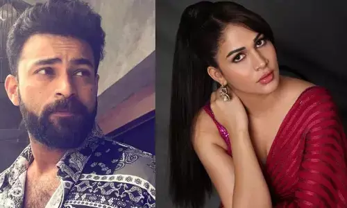 వరుణ్-లావణ్య మధ్య విభేదాలకు కారణం అదేనా.. అసలు ఏం జరిగిందంటే?
