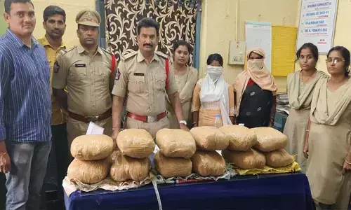 25 కేజీల గంజాయి పట్టివేత