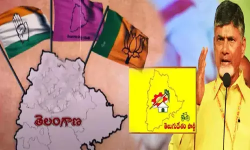 ఎంపీ  ఎన్నికల్లో టీటీడీపీ వ్యూహమేంటి?.. ఈసారి తెలుగు తమ్ముళ్ల ఓట్లెటువైపు?