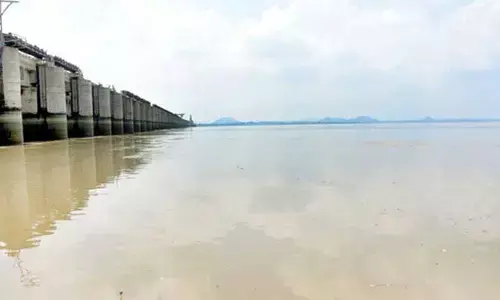సాగునీటి సమస్య తీరేదెన్నడు?