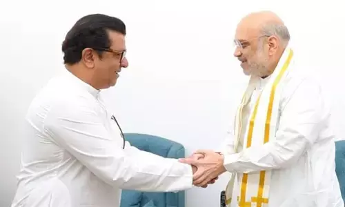 అమిత్ షాతో రాజ్ థాక్రే భేటీ..ఉద్ధవ్‌కు షాకిచ్చేందుకేనా?