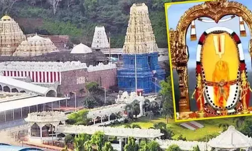ఏడాదికి ఒక్కసారి మాత్రమే దర్శనమిచ్చే నరసింహుడు.. ఆ ఆలయంలో  అంతుచిక్కని రహస్యాలెన్నో..