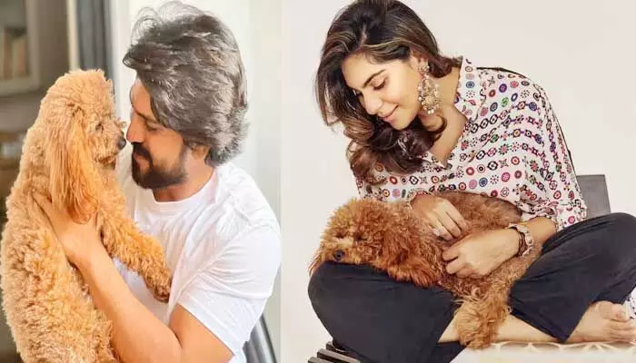 ఇన్స్టాగ్రామ్ వాడుతోన్న రామ్ చరణ్ పెట్ డాగ్! 80 వేల పైన ఫాలోవర్స్.. ఏం ఏం పోస్టులు పెట్టిందంటే? ఇన్స్టాగ్రామ్ వాడుతోన్న రామ్ చరణ్ పెట్ డాగ్! 80 వేల పైన ఫాలోవర్స్.. ఏం ఏం పోస్టులు పెట్టిందంటే?
