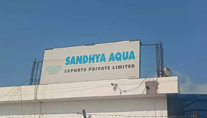 Breaking: విశాఖ డ్రగ్స్ కేసు వయా కాకినాడ Breaking: విశాఖ డ్రగ్స్ కేసు వయా కాకినాడ