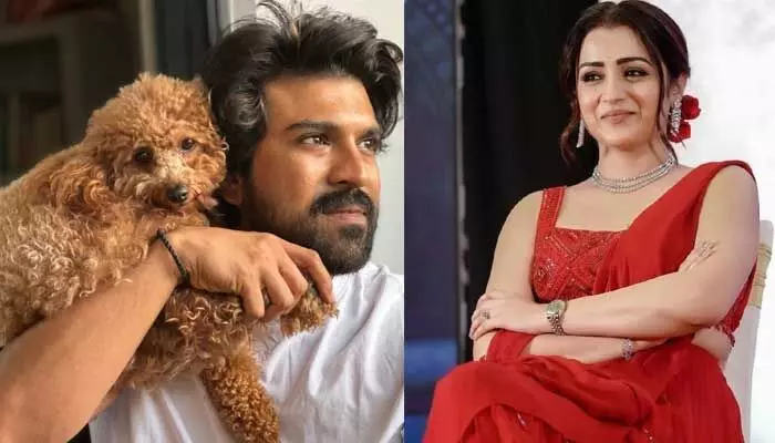 రామ్ చరణ్ పెట్ డాగ్తో దర్శనమిచ్చి షాకిచ్చిన త్రిష.. మిస్ యూ అంటూ ఆసక్తికర పోస్ట్ రామ్ చరణ్ పెట్ డాగ్తో దర్శనమిచ్చి షాకిచ్చిన త్రిష.. మిస్ యూ అంటూ ఆసక్తికర పోస్ట్