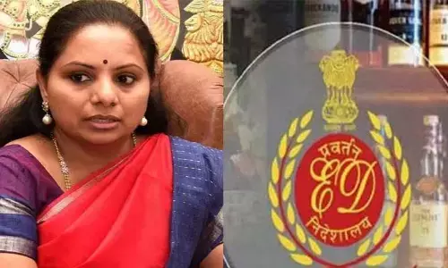 ఎమోషన్ అవ్వకండి.. కవిత లాయర్ ను వారించిన జడ్జి