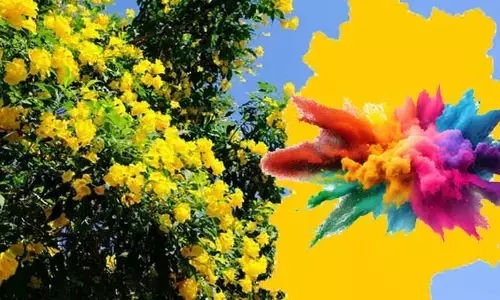 Holi: ప్రకృతి ఒడిలో తెలంగాణ ప్రజలు.. విన్నూత్న రీతిలో హొలీ వేడుకలు..