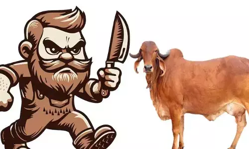 Atrocious: గోవులపై ఆగని దాష్టికం..