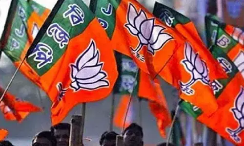 బీజేపీ మేనిఫెస్టో కమిటీలో మాజీ సీఎంలు, కీలక నేతలు వీరే..