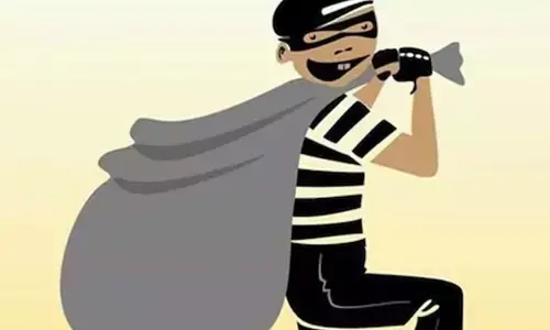 Viral News: విచిత్రమైన దొంగలు.. వీడియో వైరల్..