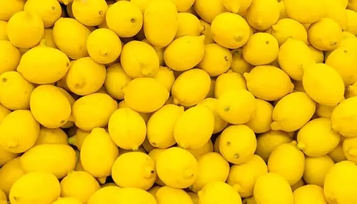 The price of a lemon: రైతులకు శుభవార్త.. నింగిని తాకిన నిమ్మ ధర The price of a lemon: రైతులకు శుభవార్త.. నింగిని తాకిన నిమ్మ ధర