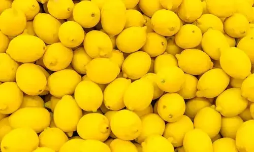 The price of a lemon: రైతులకు శుభవార్త.. నింగిని తాకిన నిమ్మ ధర