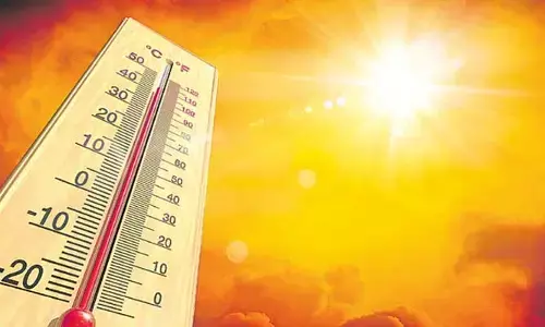 weather Report: తెలుగురాష్ట్రాల్లో భగ్గుమంటున్న భానుడు.. 115 మండలాల్లో తీవ్ర వడగాల్పులు