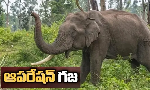 BREAKING: కొమురం భీం జిల్లా కాగజ్‌నగర్ కారిడార్‌లో టెన్షన్.. టెన్షన్, కొనసాగుతున్న ‘ఆపరేషన్ గజ’