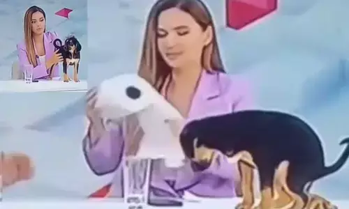 Viral: వీధి కుక్కతో ఆ పని చెయ్యాలనుకున్న ప్రముఖ యాంకర్.. షాక్ ఇచ్చిన కుక్కపిల్ల..