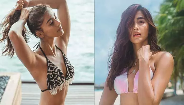 ఈ మధ్యే పూజా హెగ్డే కొత్తింటి గృహప్రవేశం.. అక్కడ ఆయనను, ఇక్కడ ఈయనను మెయింటెన్ చేయడం వల్లేనా..? ఈ మధ్యే పూజా హెగ్డే కొత్తింటి గృహప్రవేశం.. అక్కడ ఆయనను, ఇక్కడ ఈయనను మెయింటెన్ చేయడం వల్లేనా..?