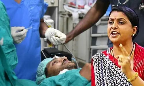 AP Politics: జగన్ పై దాడికి కారణం చంద్రబాబు.. రోడ్డెక్కిన మంత్రి ఆర్కే రోజా..