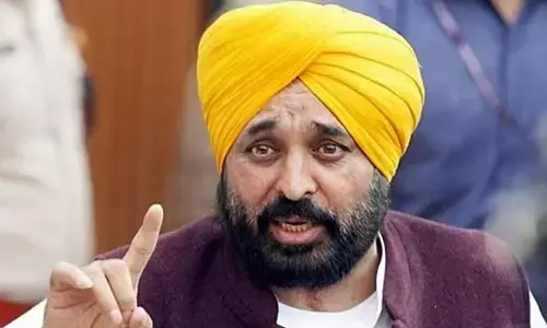 కేజ్రీవాల్‌ను టెర్రరిస్టులా ట్రీట్ చేస్తున్నారు: ఢిల్లీ సీఎంతో భేటీ అనంతరం భగవంత్ మాన్ వ్యాఖ్యలు
