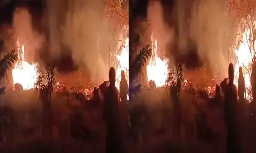 Fire Accident: పంట పొలాలకు నిప్పు పెట్టిన దుండగులు.. ఏం జరిగిందంటే..?