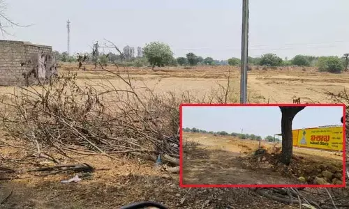 15 ఎకరాల ప్రభుత్వ భూమిలో అక్రమ నిర్మాణాలు