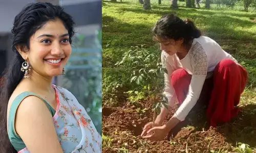Sai Pallavi : ‘డార్లింగ్.. ఐ షేర్ ఫర్ యు ఎవిరీ థింగ్’.. సాయిపల్లవి చేసిన పనికి ఫిదా అయిపోతున్న నెటిజన్స్..