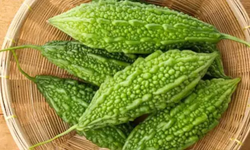 క్యాన్సర్ ప్రమాదాన్ని తగ్గించే కాకరకాయ.. ఇంకా ఎన్ని ప్రయోజనాలో తెలుసా..