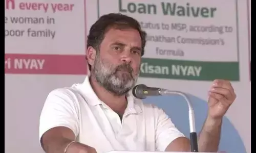 ప్రజలపై ఒకే చరిత్ర, ఒకే భాషను రుద్దాలని బీజేపీ చూస్తోంది: రాహుల్ గాంధీ