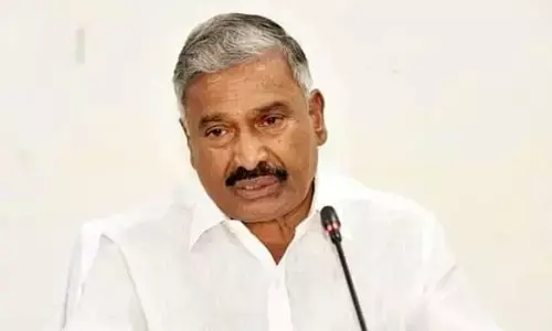 మదనపల్లి ఫైల్స్ దగ్ధం కేసు: మాజీ మంత్రి పెద్దిరెడ్డి కీలక వ్యాఖ్యలు