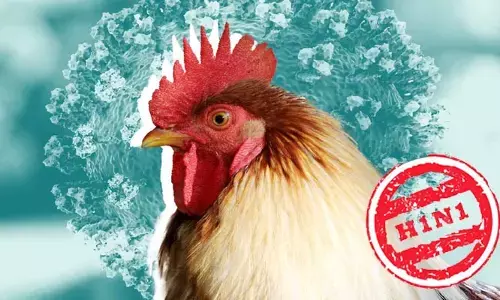 Bird flu: కేరళలో బర్డ్ ఫ్లూ గుర్తింపు.. ఆ ప్రాంత సరిహద్దులో హై అలర్ట్