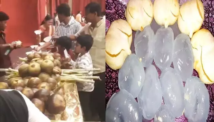 సమ్మర్ స్పెషల్ ‘ఐస్ యాపిల్’.. పెళ్లి రిసెప్షన్లో అతిథులకి తాటి ముంజలు సమ్మర్ స్పెషల్ ‘ఐస్ యాపిల్’.. పెళ్లి రిసెప్షన్లో అతిథులకి తాటి ముంజలు