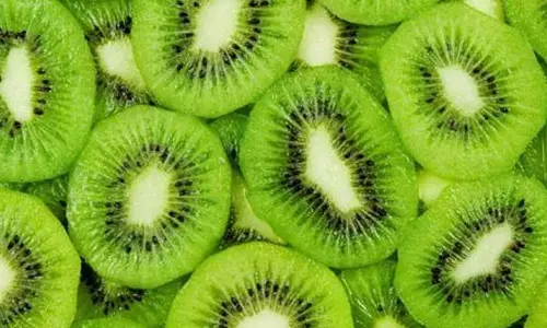 Kiwi fruit : ఎండిన కివి పండ్లతో ఎన్ని లాభాలో తెలుసా?