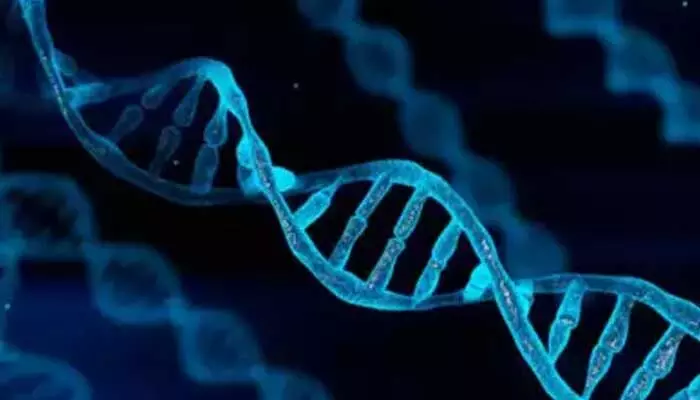 DNA ఎన్ని రహస్యాలను వెల్లడిస్తుందో తెలుసా ?